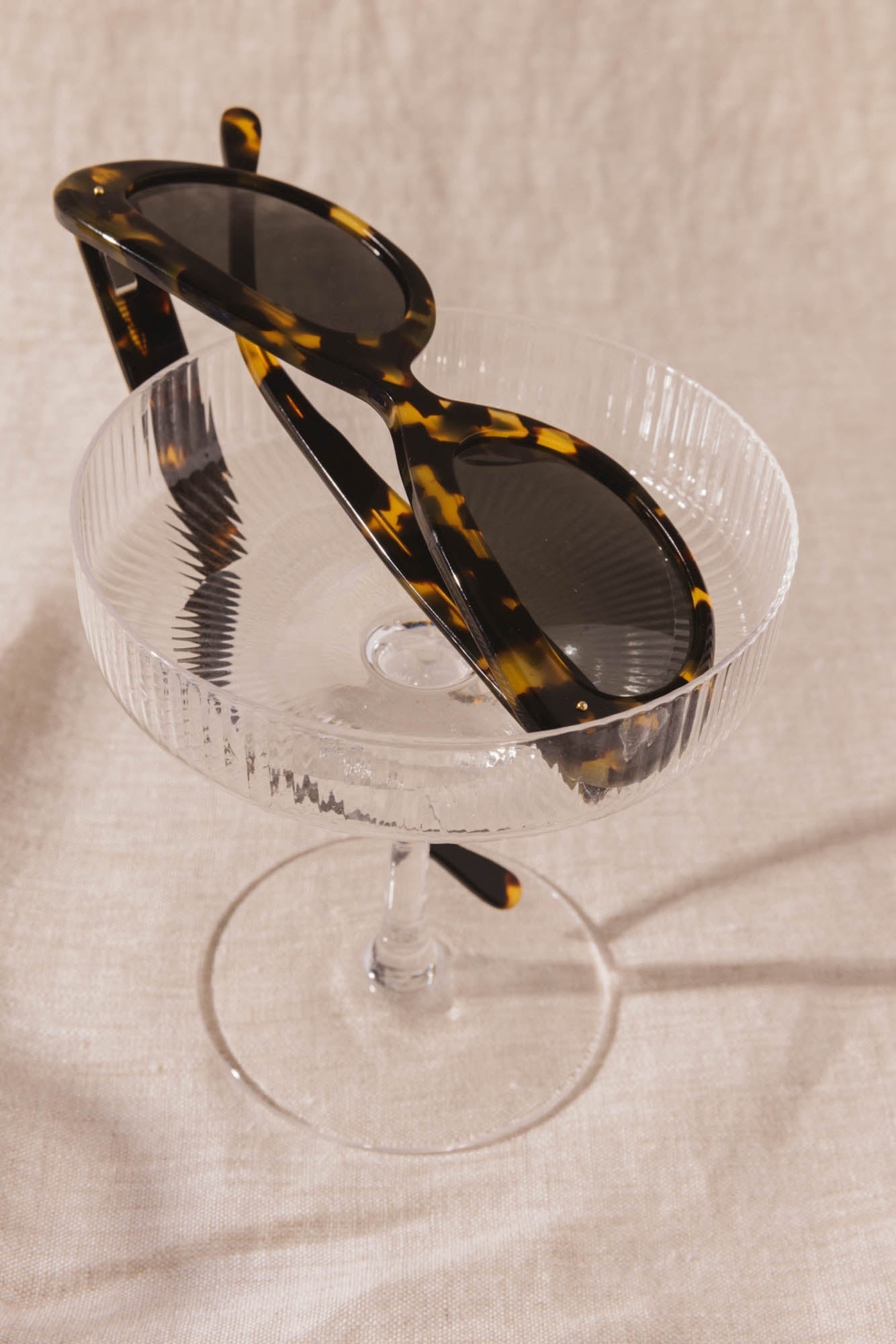 Lunettes Charlotte tortoise noir
