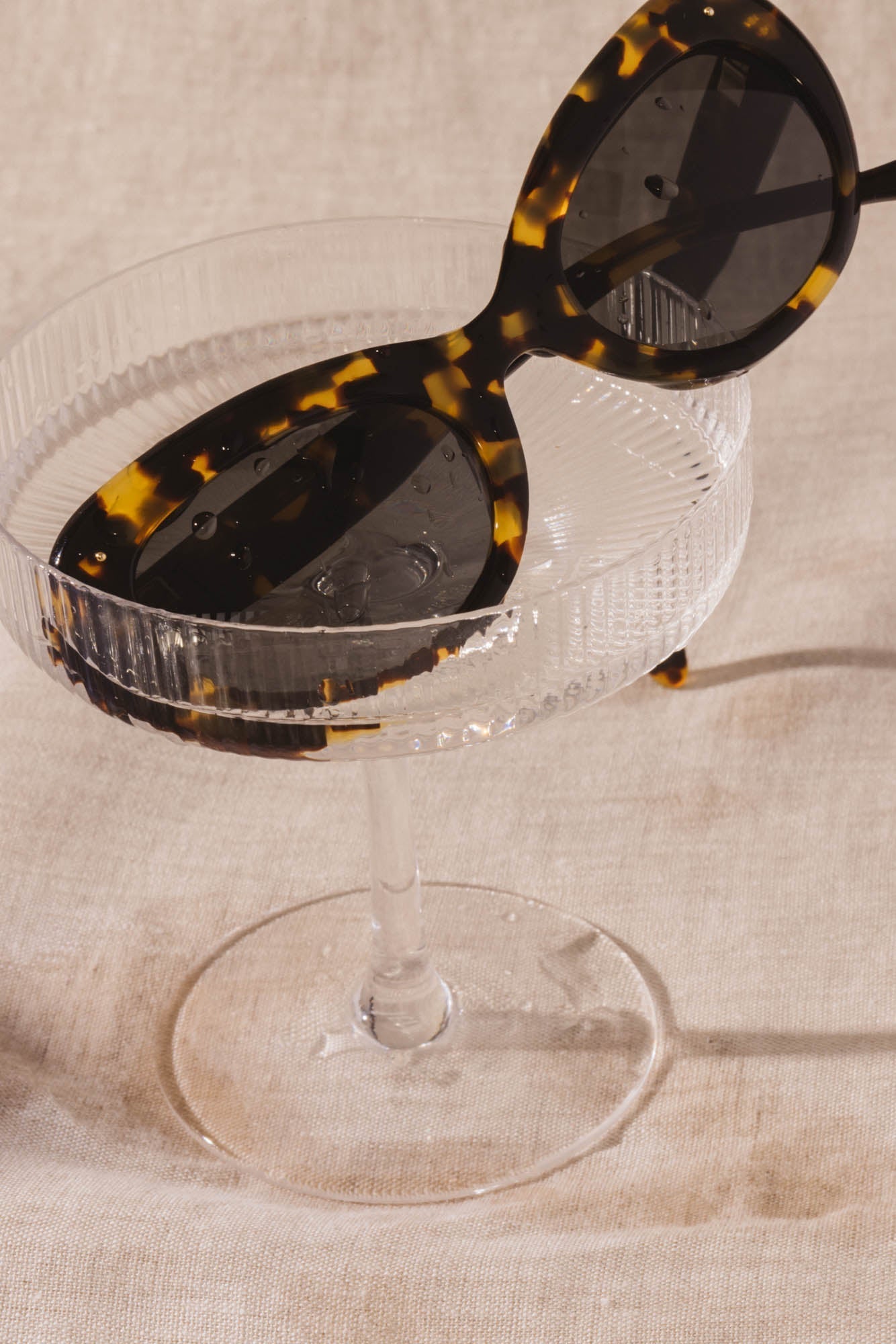 Lunettes Charlotte tortoise noir