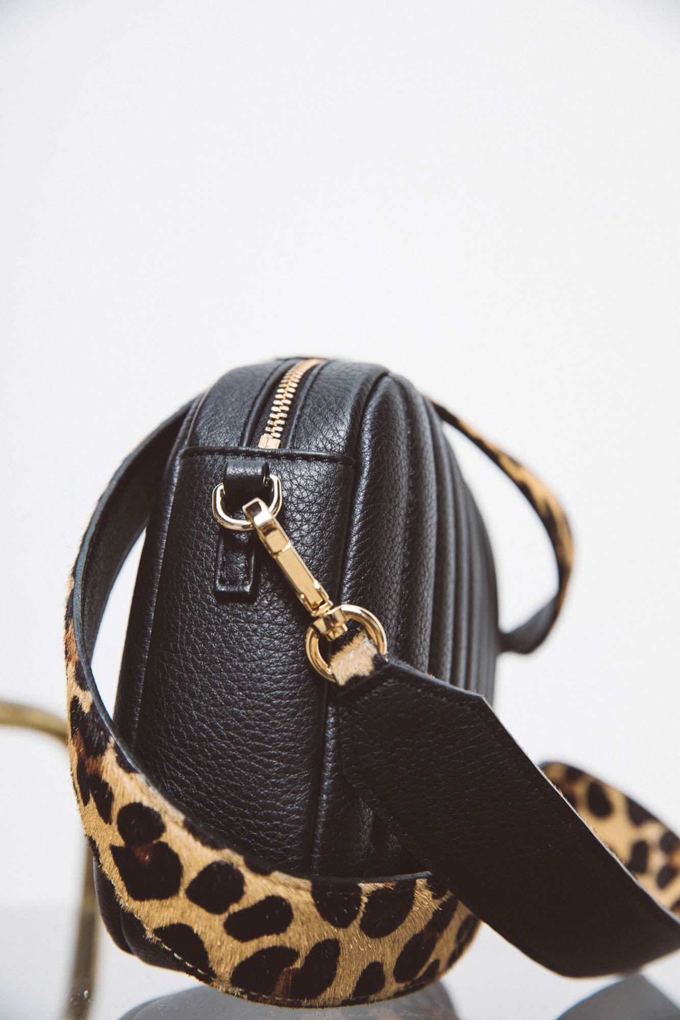 Anse César pony léopard