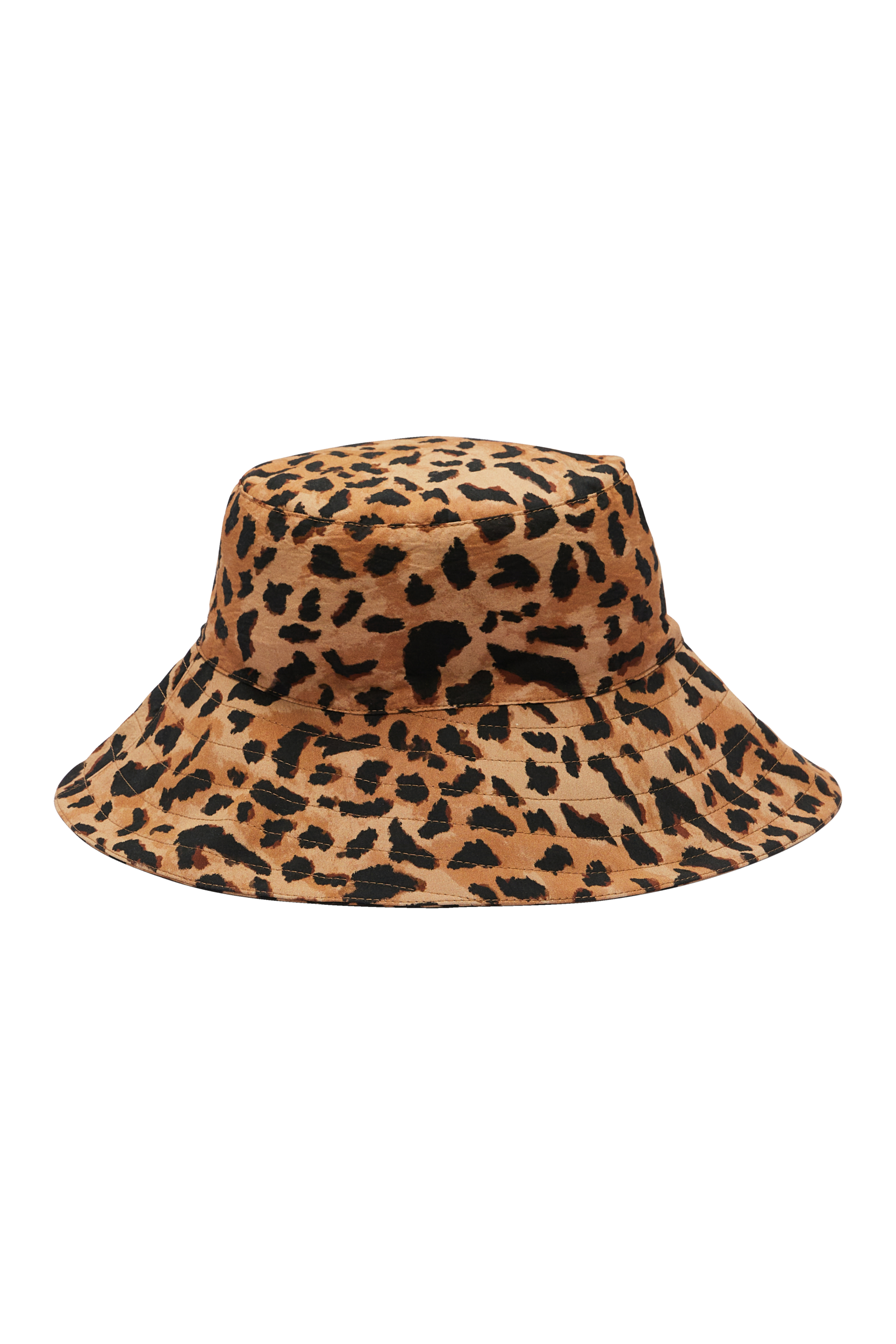 Bob Verveine guépard cappuccino