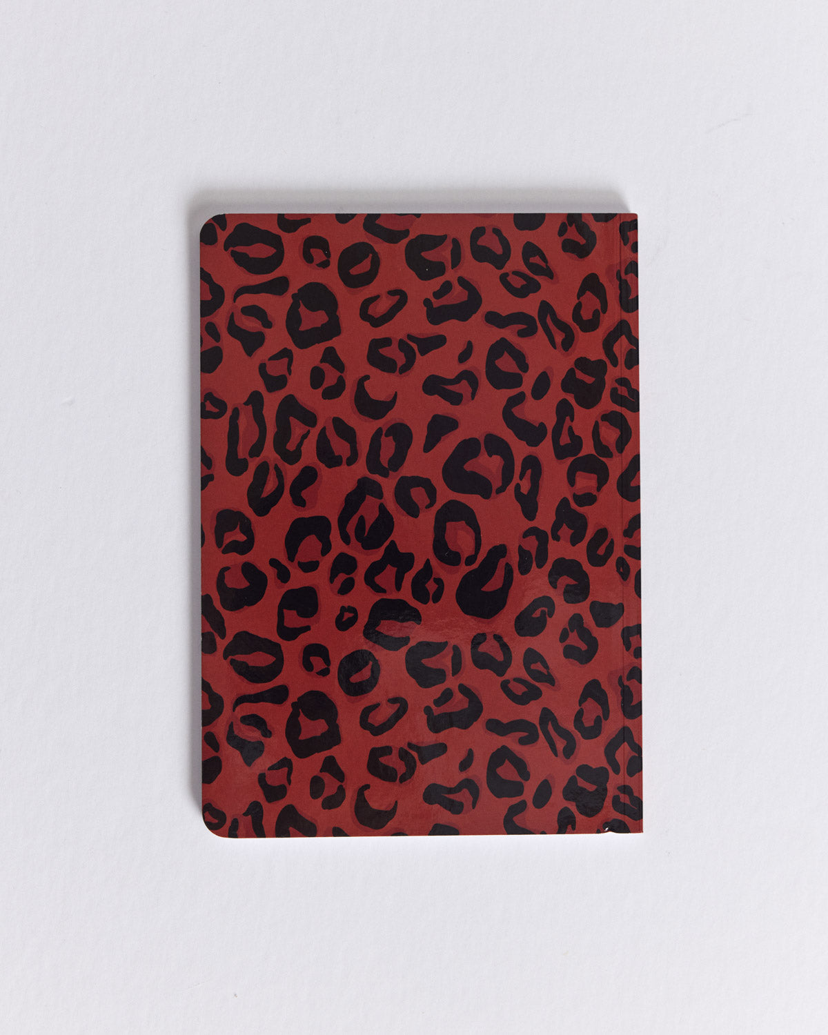 Carnet A5 léopard rouge All you need is